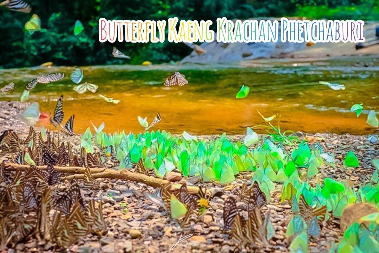 Baan Rai Pray Rung Kaeng Krachan Ban Tha Ling Lom Exterior foto